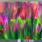 ORIGINAL ART: Tulips 1 - 11x14