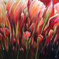 ORIGINAL ART: Red Tulips Original Painting