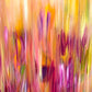 ORIGINAL ART: Tulips at Dusk 48x36 Painting